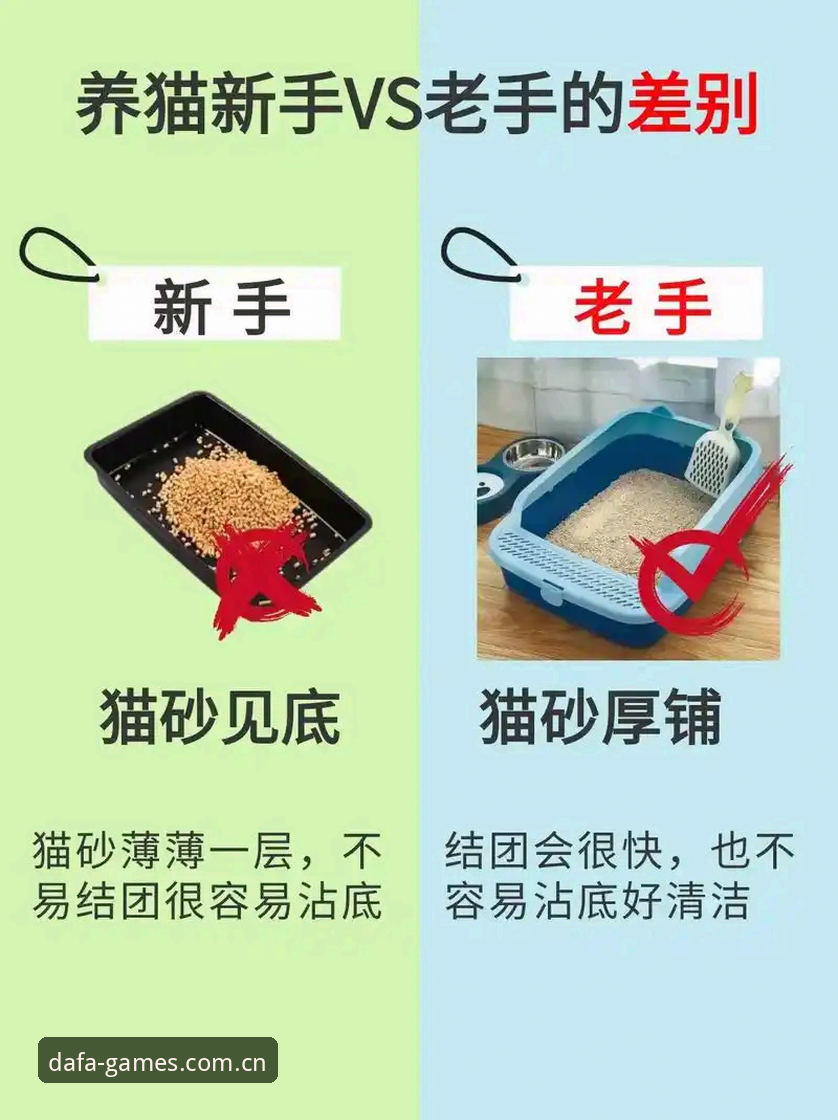 大发电子平台评测必备：新手选版vs老手挑功能，哪个更实用？
