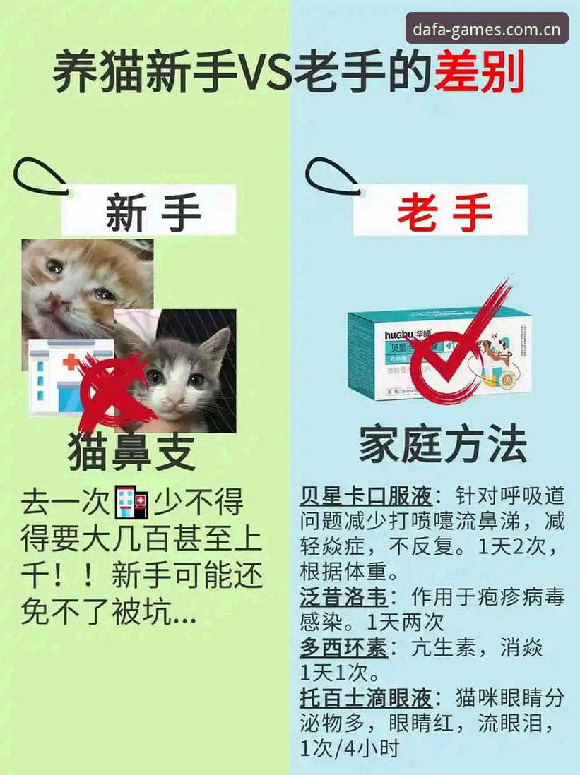 大发电子平台评测必备 大发电子平台评测必备:新手选版vs老手挑功能,哪个更实用?